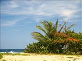 Playa Peñón Brusi - CAMUY